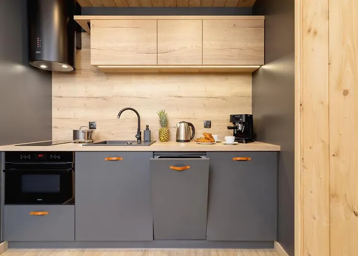 Premium Salwatorianska Mountain View By Renters Prestige 公寓 扎科帕内